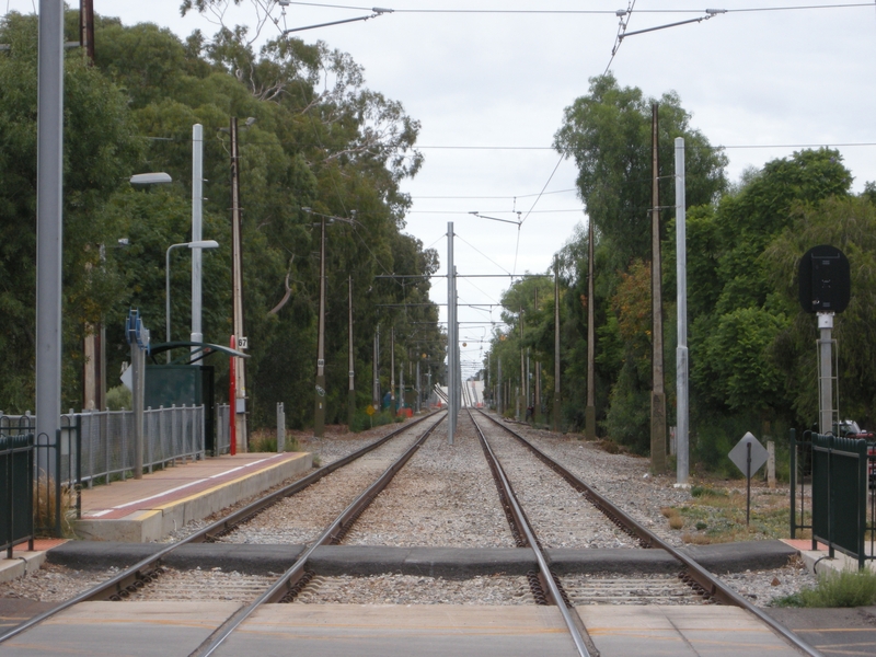 136676: Stop 4 Forestville looking towards Glenelg