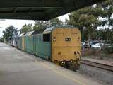 136768: Adelaide Parklands NR 25 DL 48