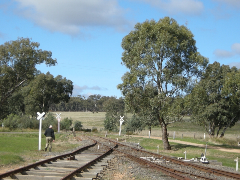 136822: Muckleford Looking towards Castlemaine