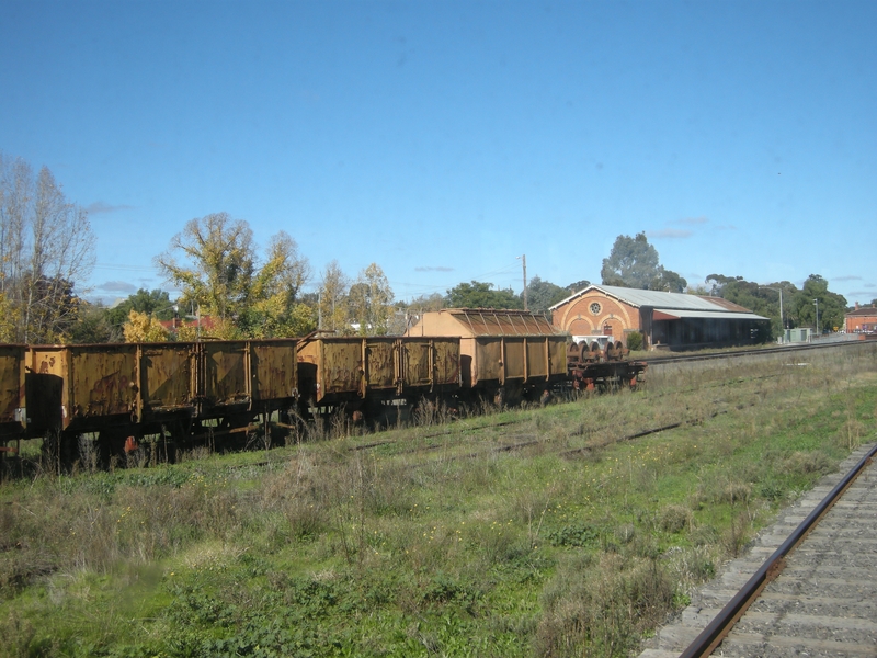 136838: Castlemaine Looking South VGR Goods Wagons