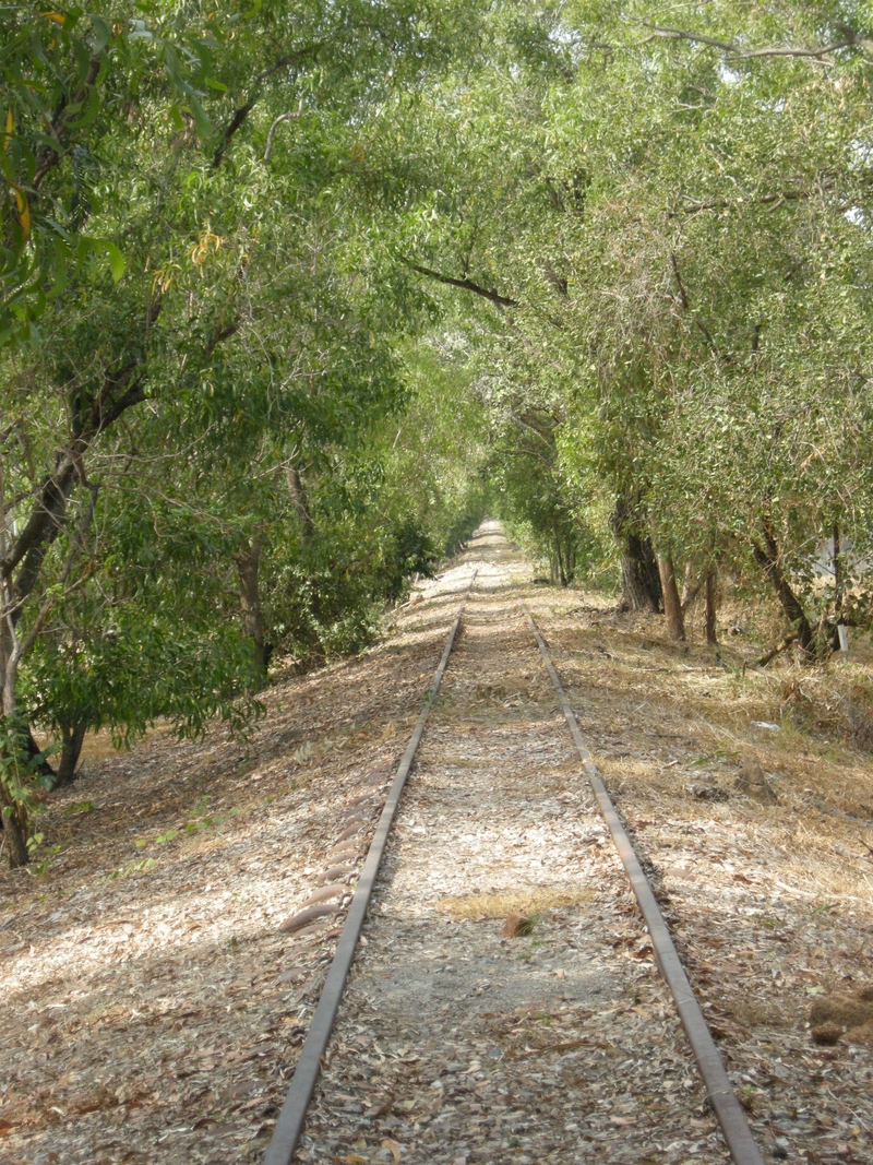 137079: The Narrows North Limit at Snell Street Looking South