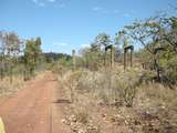 137114: Snake Creek 0 2 km from Bridge looking West