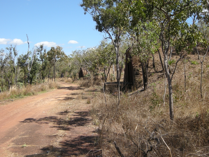 137115: Snake Creek 0 6 km from Bridge looking West