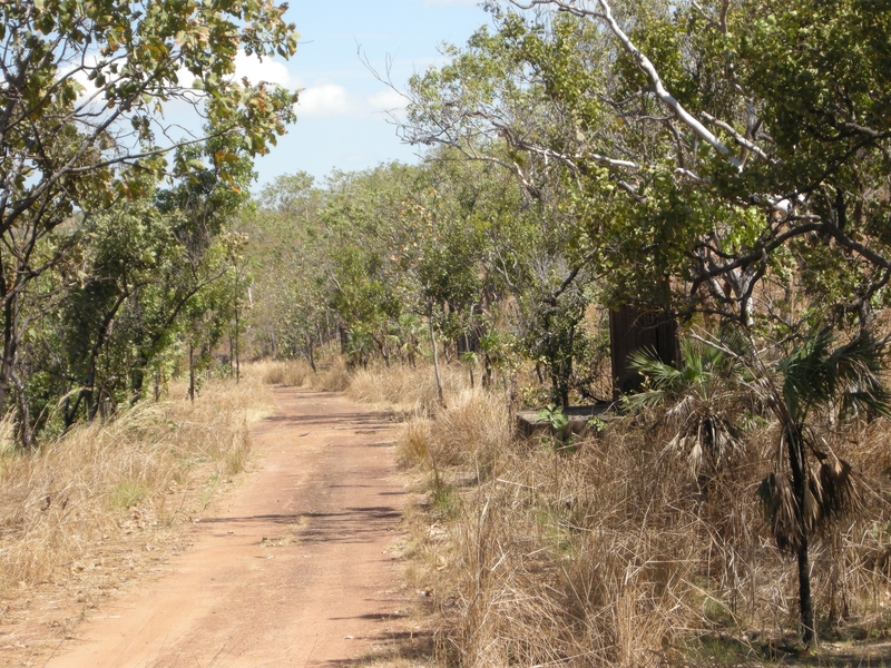 137117: Snake Creek 0 95 km from bridge looking West