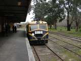 137141: Healesville Up RTA Special