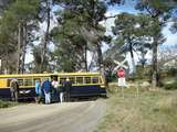 137164: Donovans Road Level Crossing Down RTA Special 22 RM