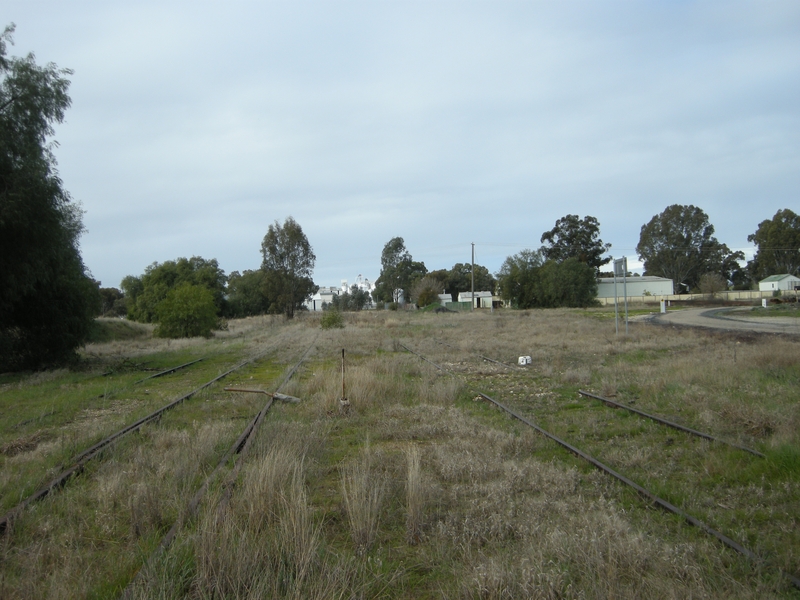 137176: Wahgunyah Looking towards Springhurst