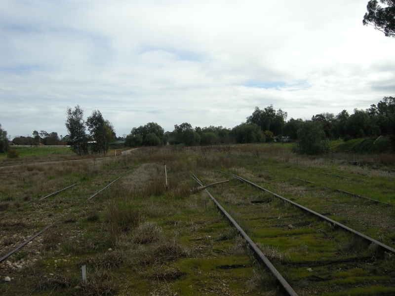 137177: Wahgunyah Looking towards end of track