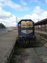 137185: Ballarat T 356