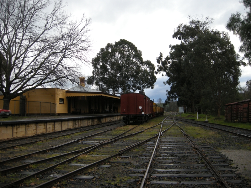 137223: Healesville Yard Scene looking West