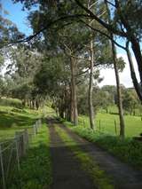 137231: Narracan South End looking towards Thorpdale