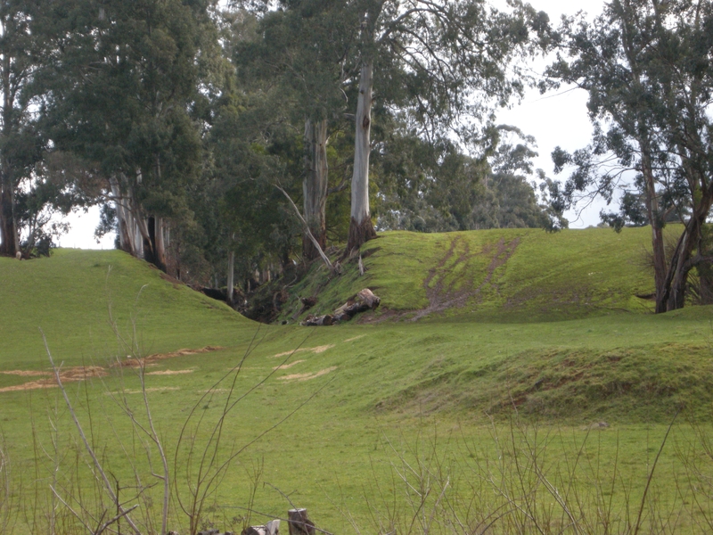 137232: Narracan Falls looking towards Thorpdale