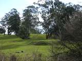 137234: Narracan Falls looking towards Thorpdale