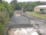 137289: Lilyfield looking towards Dulwich Hill