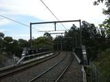 137293: Rozelle Bay looking towards Lilyfield