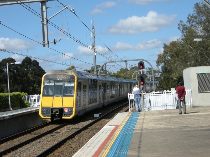 137329: East Hills Down Suburban 8-car Tangara