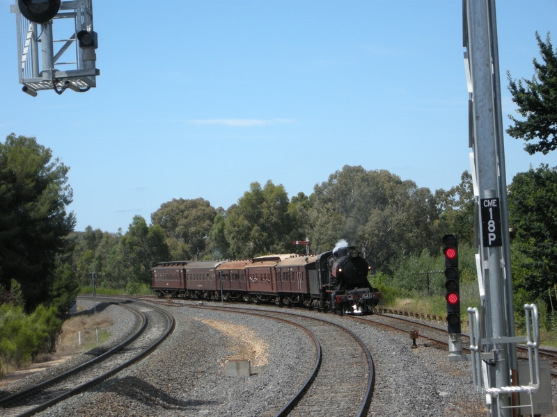 137442: Castlemaine Up Passenger from Maldon J 541