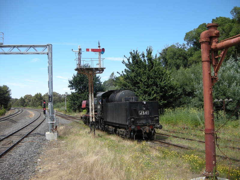 137447: Castlemaine J 541 backing down for Down Passenger to Maldon