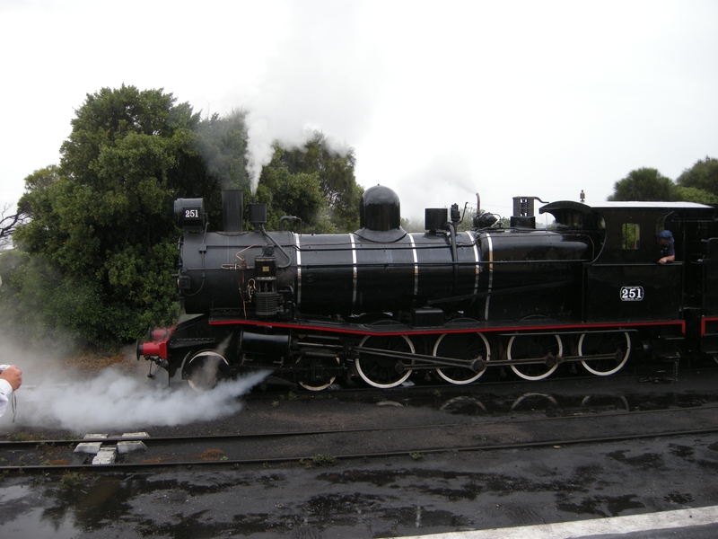 137498: Queenscliff T 251 running round