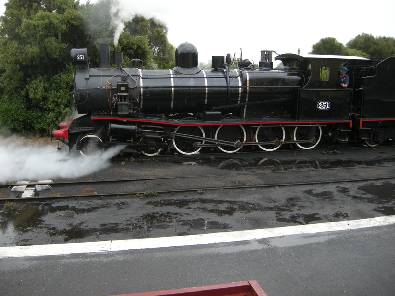 137499: Queenscliff T 251 running round