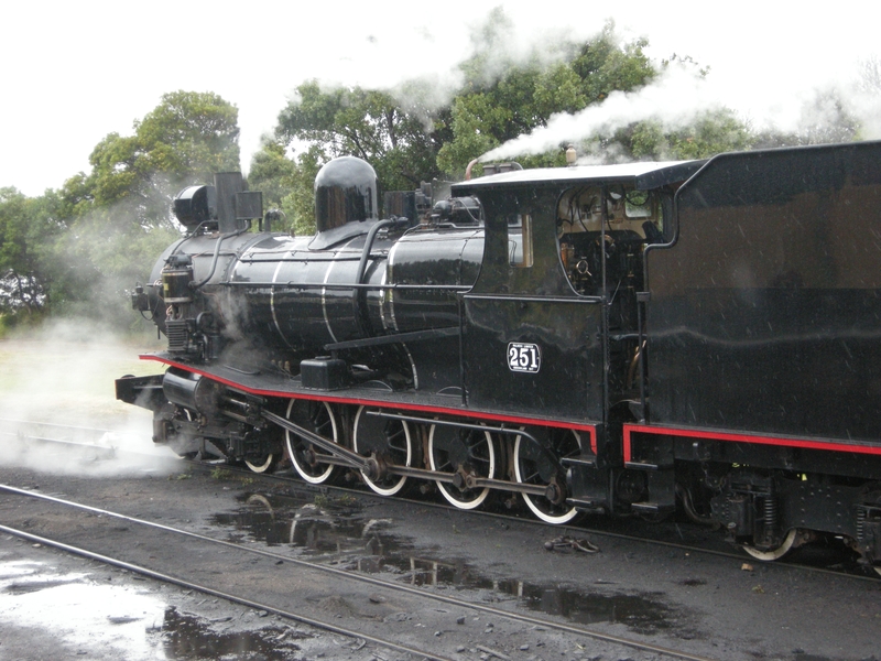 137501: Queenscliff T 251 running round