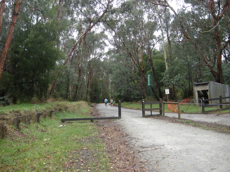 137663: Warburton Rail Trail Seville Station looking East