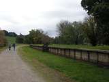 137671: Warburton Rail Trail Woori Yallock Station looking West