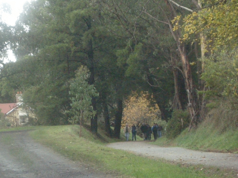 137675: Warburton Rail Trail Wandin West end looking East