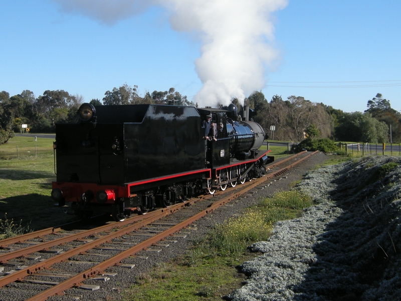 137684: Drysdale T 251 running round to form 12 00 noon Passenger to Queenscliff