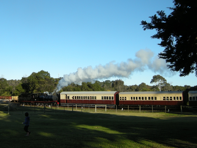 137720: Drysdale 3 45 pm Passenger to Queenscliff T 251