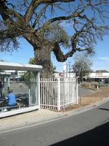 200658: Lilydale Railway Station Bus Terminal Cork Oak quercus suber