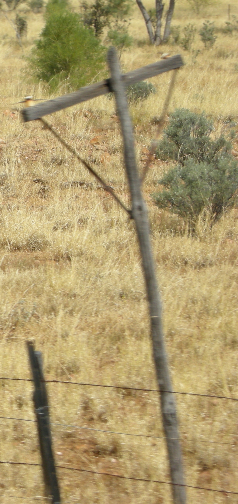 201504: Winton Line Communications' pole