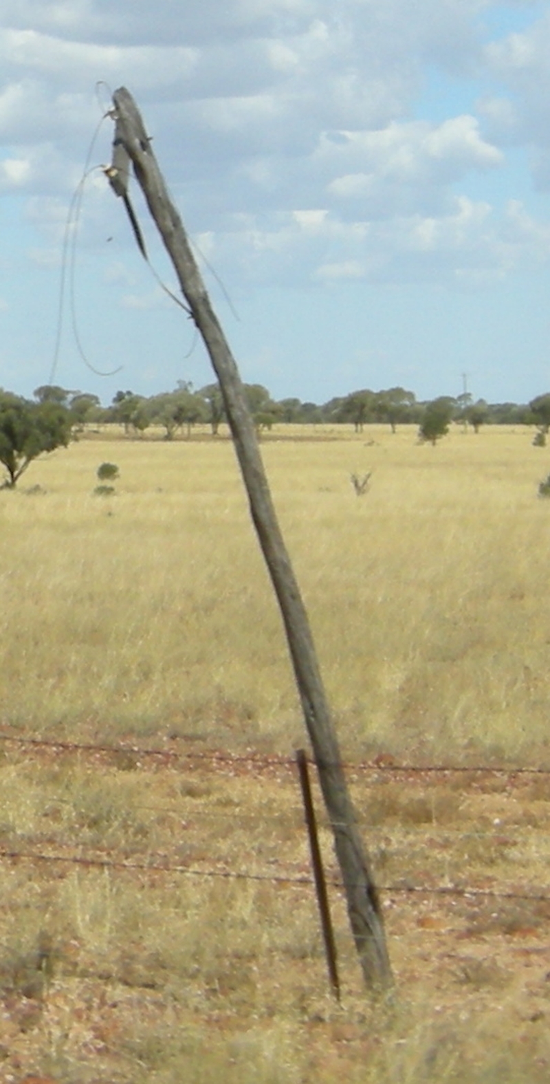 201510: Winton Line Communications' pole