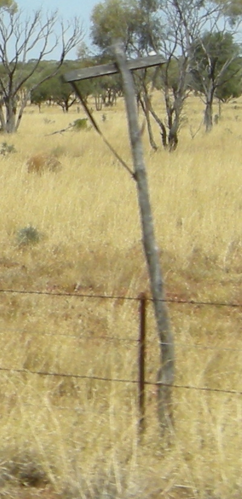 201526: Winton Line Communications' pole