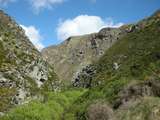 201543: Taieri Gorge New Zealand viewed from Deep Stream Bridge