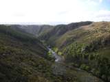 201546: Taieri Gorge New Zealand Viewed North from km 41 5 Taieri Gorge Railway