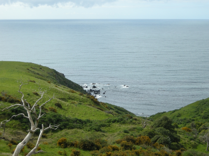 201553: View East to Pacific Ocean from km 340 NZ South Island Main Trunk Railway