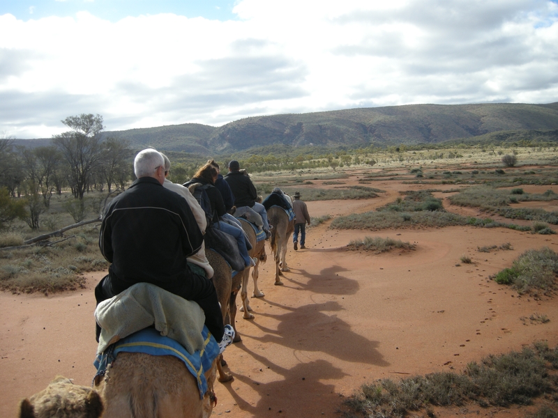 201572: Camel Ride off Ilparpa Road Alice Springs Northern Territory