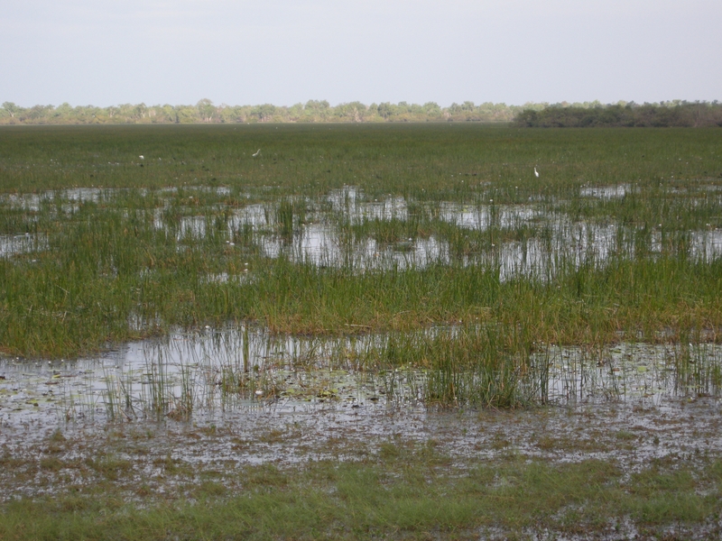 201640: Kakadu NP NT Mamukala Wetland