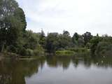 201664: Royal Botancal Gardens Melbourne near Picnic Point City Buildings in distance