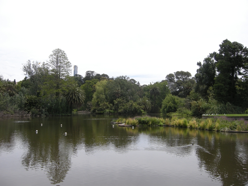 201665: Royal Botanical Gardens Melbourne near Picnic Point City Buildings in distance  -1