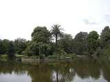 201667: Royal Botanical Gardens Melburne Northern Lawn in background