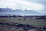 400036: Kaikoura looking towards mountains