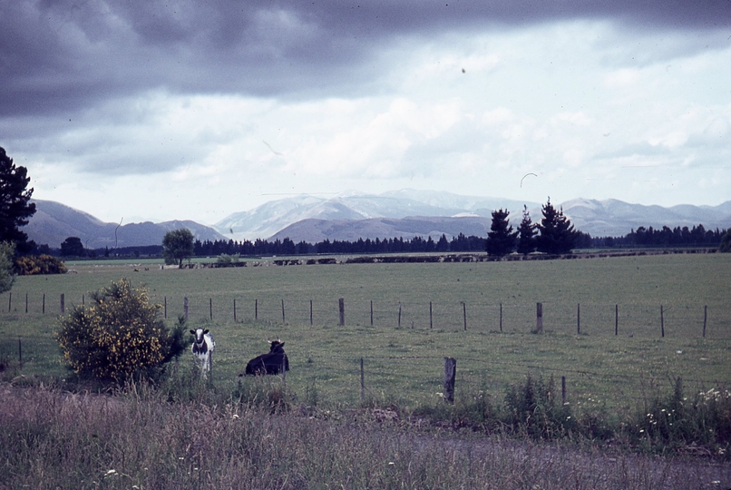 400038: View from train near Springfield