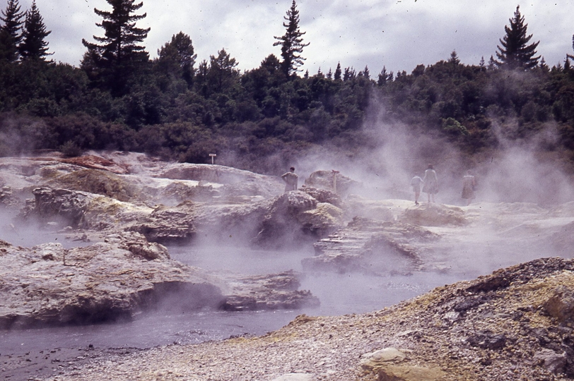 400060: Rotorua Tikitere Hell's Gate boiling sulphur pools