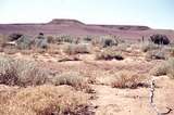 400070: Pole Creek Scenery North of the Central Australia Railway