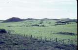 400157: Near Yanchep Beach Rural Scene