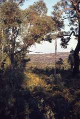 400165: Walyunga National Park WA