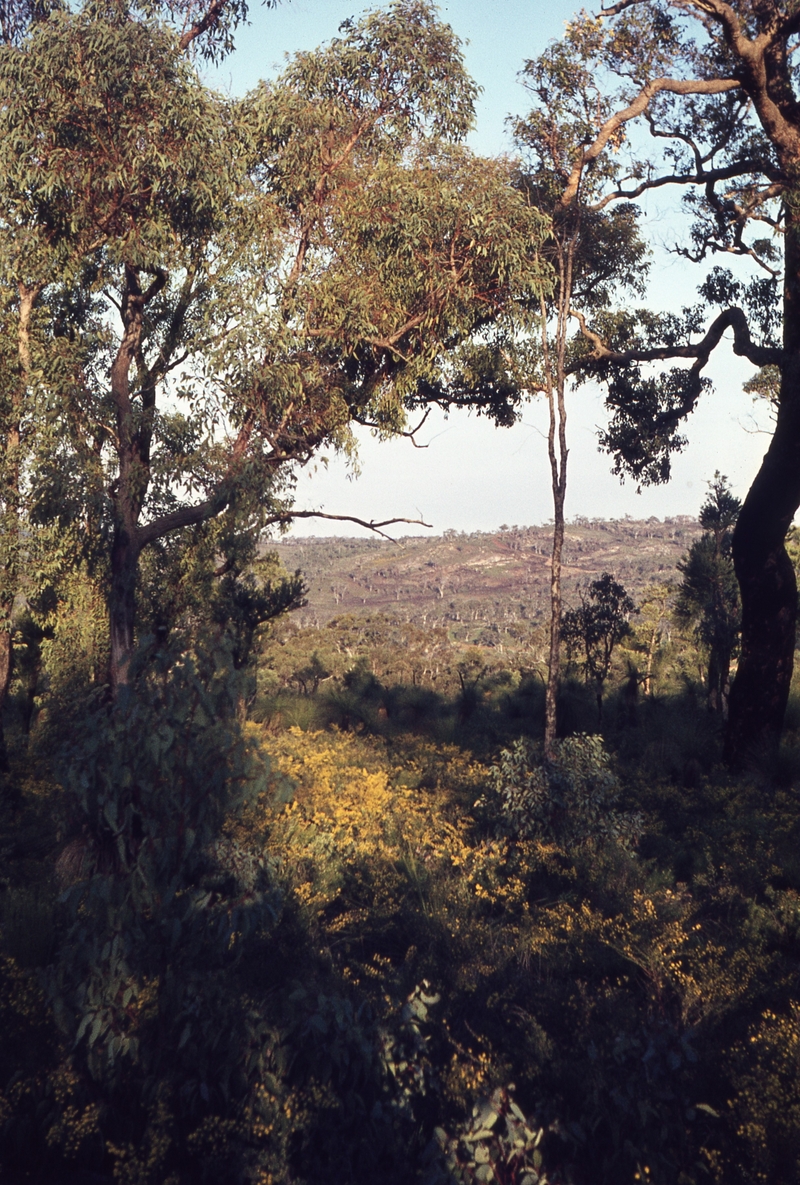 400165: Walyunga National Park WA