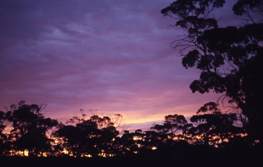 400187: Koolyanobbing WA Sunrise